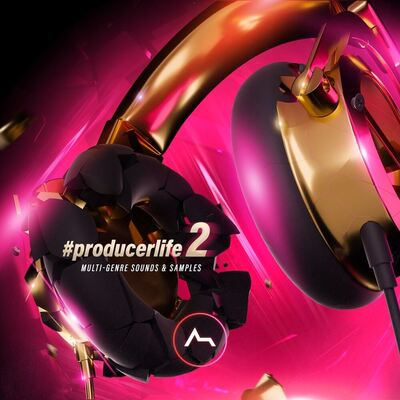 #producerlife 2