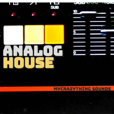 Analog House Vol.2