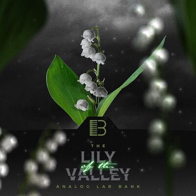 Lily Of The Valley (Analog Labs Bank)