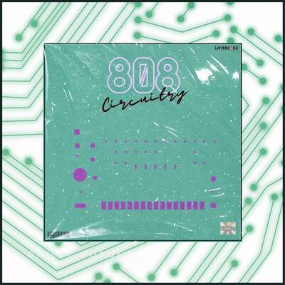 808 Circuitry 2