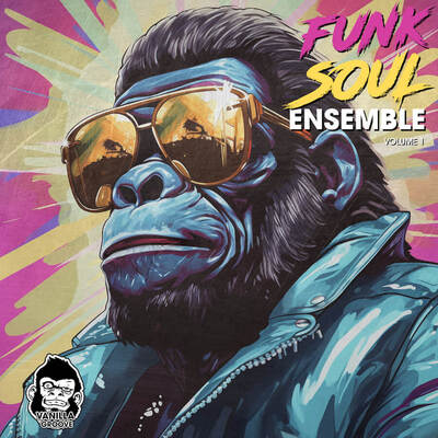 Funk Soul Ensemble Vol 1