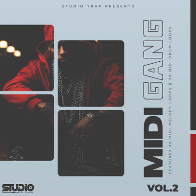 MIDI Gang Vol.2