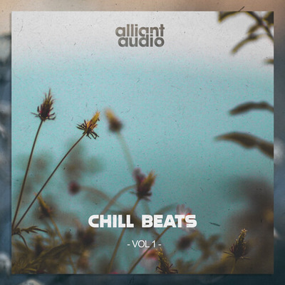 Chill Beats Vol.1