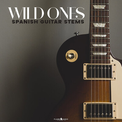 WILD ONES - Spanish Guitar Stems