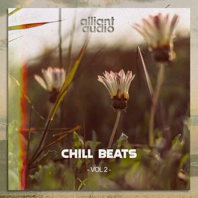 Chill Beats Vol.2