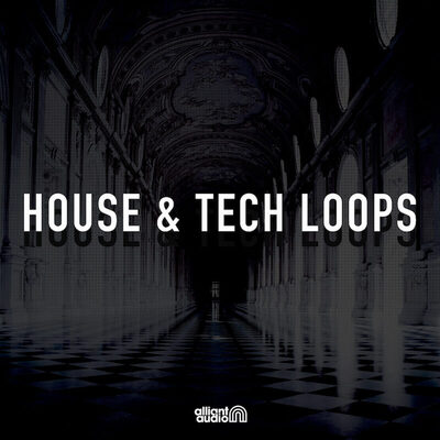 House & Tech Loops
