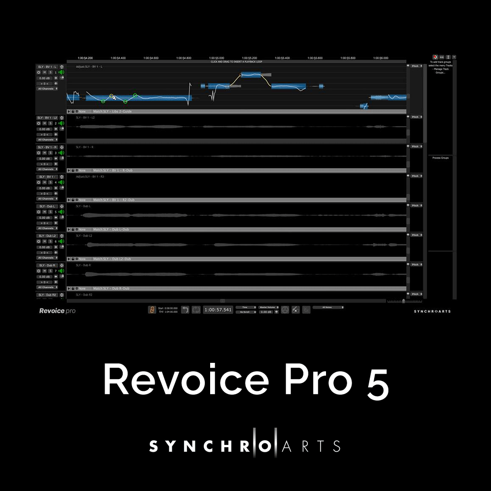 Revoice Pro 5